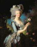 Marie Antoinette (1755-93) with a Rose, 1783 (oil on canvas)