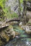 Visitors walking on wooden walkways which run the length of the Vintgar Gorge near Bled, Triglav, National Park, Upper Carniola, Slovenia (photo)