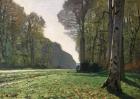 The Road to Bas-Breau, Fontainebleau (Le Pave de Chailly), c.1865 (oil on canvas)