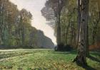 The Road to Bas-Breau, Fontainebleau (Le Pave de Chailly), c.1865 (oil on canvas)