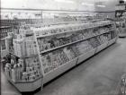 Confectionary aisle, Woolworths store, 1956 (b/w photo)