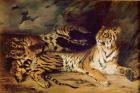 Young tiger playing with his mother, 1830 (oil on canvas)