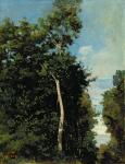 The Wood on the Cote de Grace in Honfleur (oil on canvas laid on board)