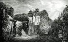 View of the Passaic River Waterfall, New Jersey (engraving) (b/w photo)