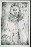 Ms Fr 19093 fol.24v Lion and Porcupine (pen & ink on paper) (facsimile)