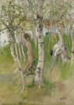 Nude Boy among Birches, 1898 (w/c on paper)