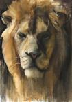 Asiatic Lion, 2015, (pigment, pastel and conté on paper)