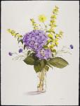 Blue Hydrangea with Yellow Loosestrife (w/c)