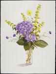 Blue Hydrangea with Yellow Loosestrife (w/c)