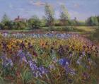 Irises and Burgate Green (oil on canvas)