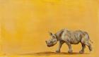 rhino, 2013, oil on canvas