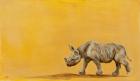 rhino, 2013, oil on canvas