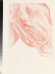 Portrait Head, 2012 (red chalk on paper)