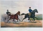 'Flora Temple' and 'Lancet' racing on the Centreville Course, 1856 (litho)