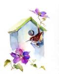 Wren with birdhouse and clematis, 2016, (watercolor)
