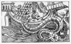 A Sea Serpent, from 'Historia de Gentibus Septentrionalibus' by Olaus Magnus (1490-1557) published in Rome, 1555 (woodcut) (b/w photo)