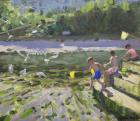 Kids and seagulls,Looe,2013,(oil on canvas)