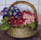 Red Mauve and Pink Primroses in a Basket 2012 (w/c on paper)