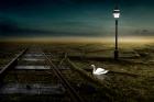 Railway, 2013 (Photo manipulation)