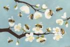 Bees & Blossoms
