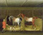 The Stables and Two Famous Running Horses belonging to His Grace, the Duke of Bolton, 1747 (oil on canvas)