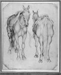 Two horses, from the The Vallardi Album (pen & ink on paper) (b/w photo)