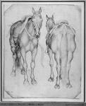 Two horses, from the The Vallardi Album (pen & ink on paper) (b/w photo)