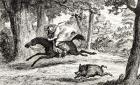 Cardinal Balue chasing a Boar, illustration from 'Quentin Durward' by Sir Walter Scott (1771-1832) published 1845 (litho)