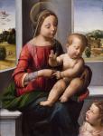 Madonna and Child with the Young Saint John the Baptist, c.1497 (oil and gold on wood)