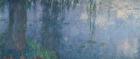 Waterlilies: Morning with Weeping Willows, detail of the left section, 1914-18 (oil on canvas) (see also 71321-22)