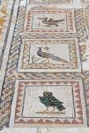 Mosaics in the Casa de los Pajaros - The House of the Birds, Roman city of Italica, near Santiponce, Seville Province, Andalusia, Spain (photo)