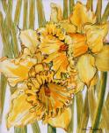Two Daffodils,2001,water colour on hand made paper