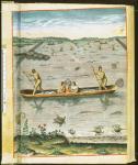 How the Indians Catch their Fish, from 'Admiranda Narratio...', engraved by Theodore de Bry (1528-98) 1590 (coloured engraving) (see also 110123 & 111664)