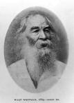 Walt Whitman, photographed in 1889 (b/w photo)