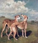 Greyhounds (oil on canvas)
