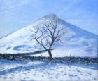 Hill and Tree, Derbyshire, 2008 (oil on canvas)