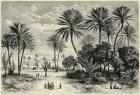 Oasis of Gafsa: Tunis (engraving)