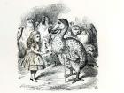Alice meets the Dodo, illustration from 'Alice's Adventures in Wonderland', by Lewis Carroll, 1865 (engraving) (b&w photo)