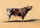 Longhorn bull, 2016 (oil on canvas)
