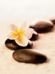 Towels, Flowers and Stones