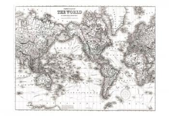 World Map White | Obraz na stenu