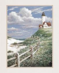 Lighthouse With Fence | Obraz na stenu