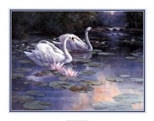 Swans and Waterfall | Obraz na stenu