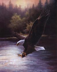 Eagle Prey | Obraz na stenu