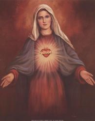 Mary's Immaculate Heart | Obraz na stenu