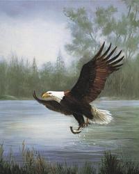 Eagle Fishing | Obraz na stenu