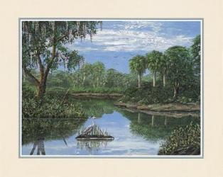 Florida Wetlands | Obraz na stenu