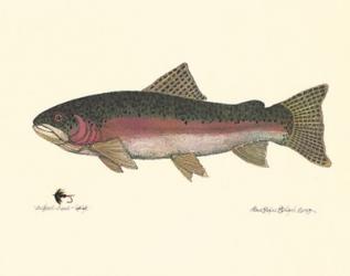 Terri Blehm - Steelhead Trout Size 8x10 | Obraz na stenu