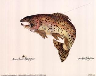 Brown Trout | Obraz na stenu