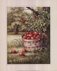 Apple Orchard | Obraz na stenu